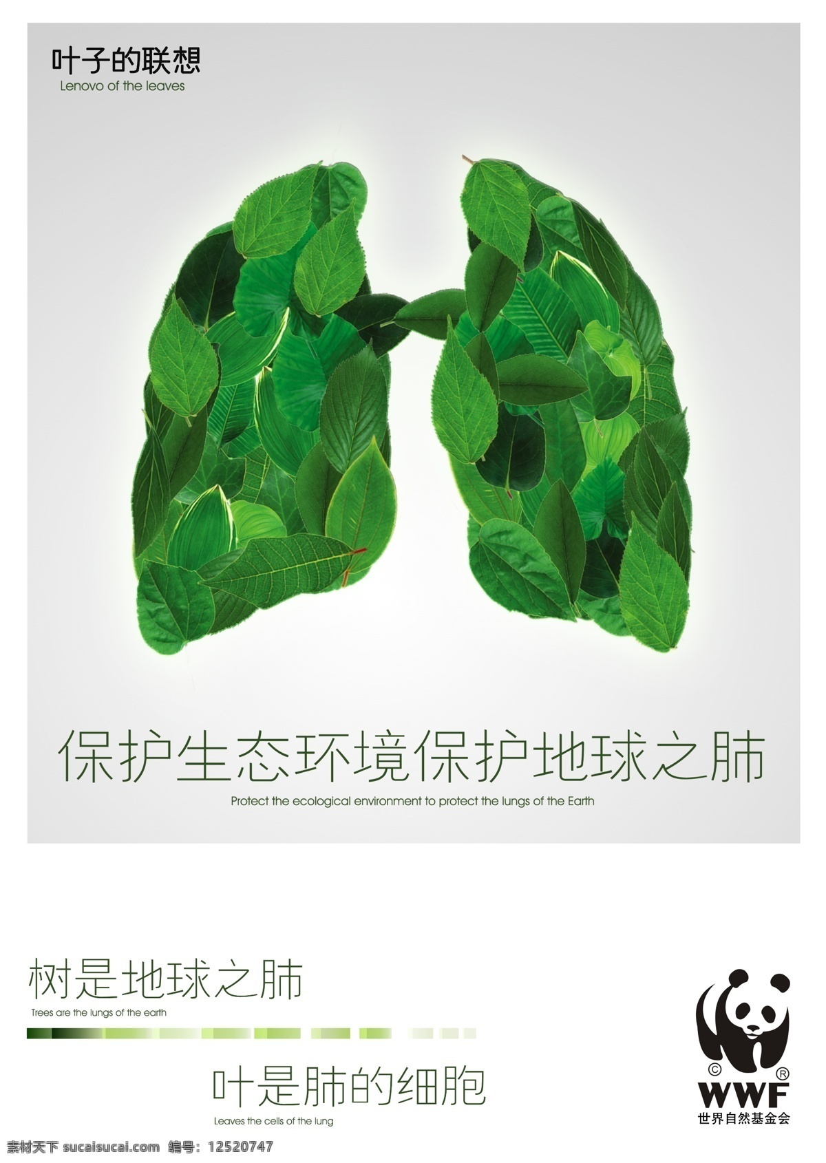 肺 肺部 公益 公益海报 广告设计模板 生态环境 树叶 保护 环境 海报 叶子 世界自然 基金会 地球之肺 叶子的联想 源文件 环保公益海报