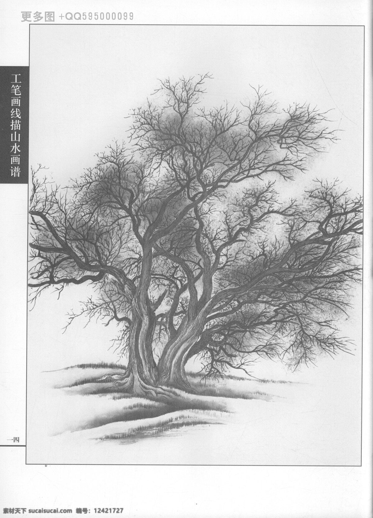 工笔画 线描 山水 画谱 树 石 树石 白描 黑白稿 手绘 线描山水 线描树 线描石 线描风景 绘画 树石篇 绘画书法 文化艺术