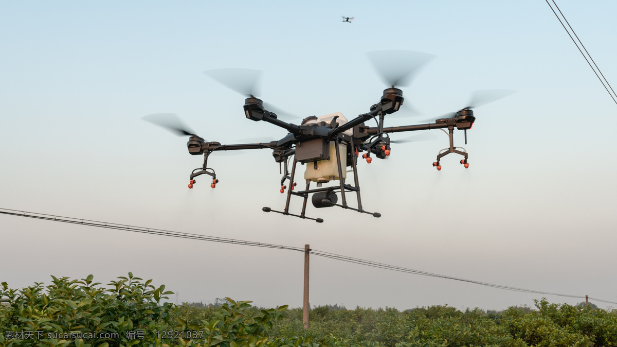 植保无人机 dji 大疆 t16 农田 农业 三农 植保 无人机 茶园 梯田 现代科技 农业生产