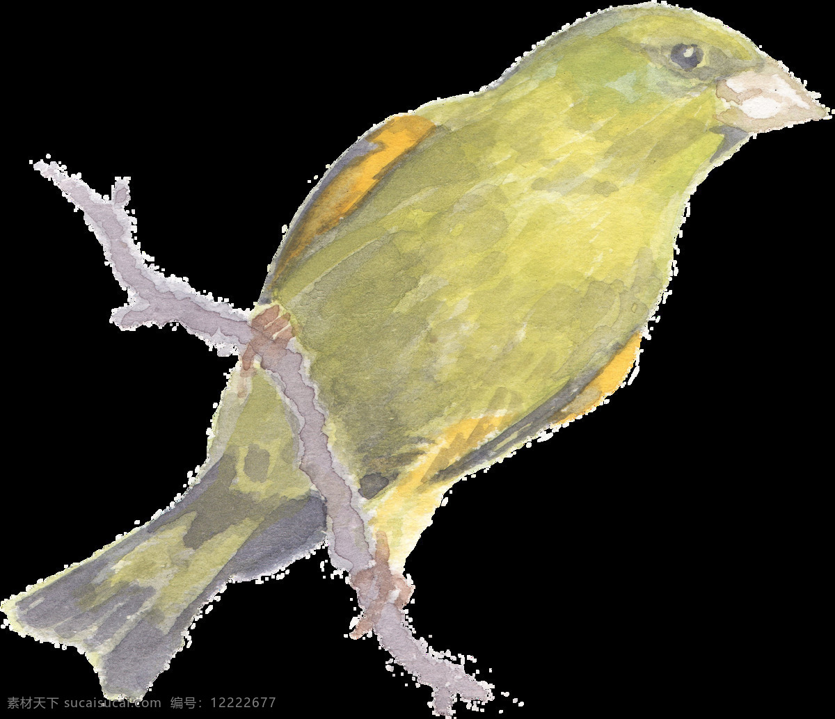 站 树干 上 黄色 小鸟 水彩 透明 动物 尖嘴 免扣素材 鸟类 透明素材 羽毛 装饰图片