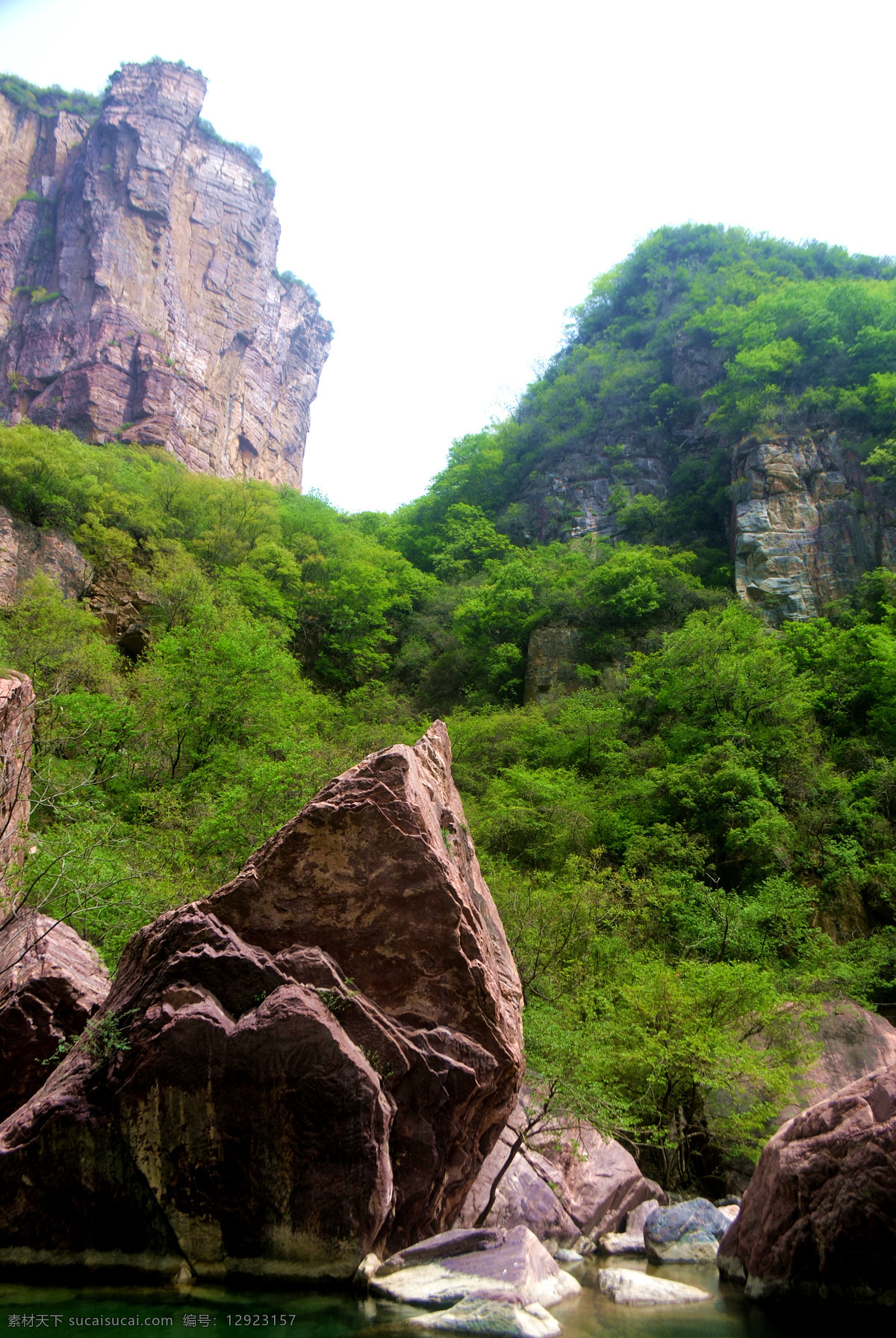 山谷 树 绿树 树叶 绿树枝 宝泉 景区 风景区 风景 宝泉密境 旅游 旅游景区 旅游风景区 春季 春天 春天旅游 春季旅游 绿色 绿水 峡谷 峡谷风景 大峡谷 太行 太行峡谷 宝泉大峡谷 宝泉风景区 宝泉景区 宝泉风景 绿色宝泉 宝泉风光 峡谷风光 峡谷大山 大山风光 宝泉秘境 自然景观 山水风景