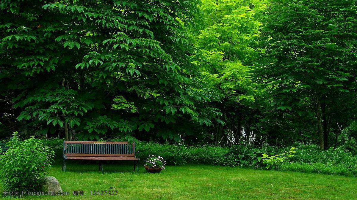 公园一角 椅子 绿树 绿色的草地 公园的椅子 公共椅子 共享图 自然景观 自然风景