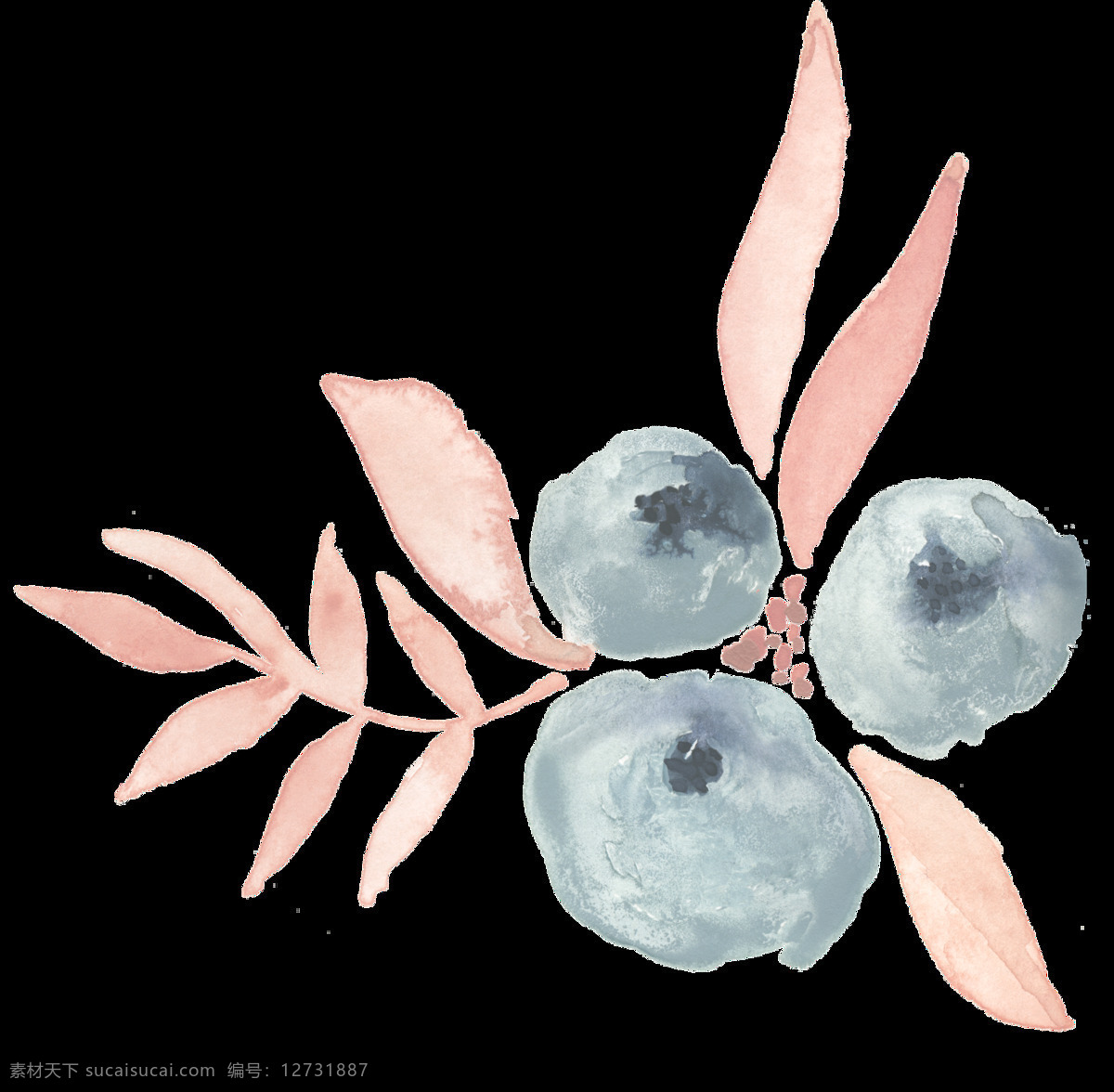 青色 蓝莓 透明 装饰 红色 花叶 免扣素材 透明素材 装饰图案