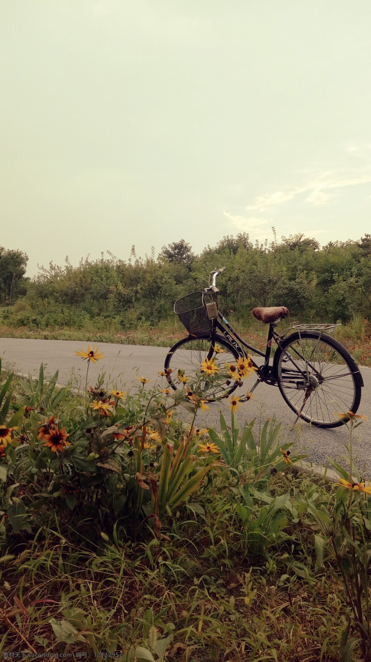 一个人的旅行 孤独 黄昏 自行车 初秋 路边 一个人 旅游摄影 自然风景