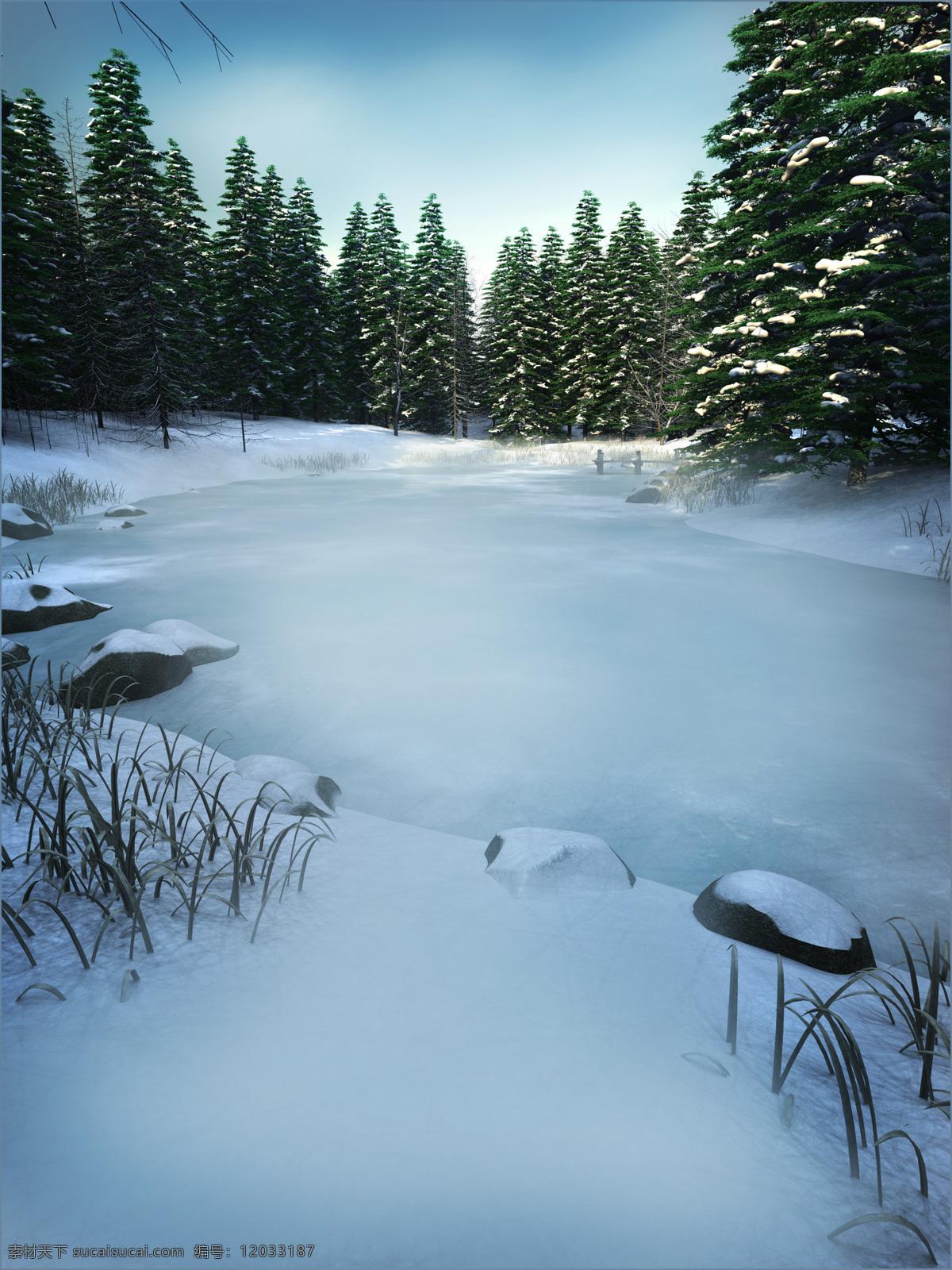 冬天 景色 雪 白色 野外 森林 冰 山水风景 风景图片