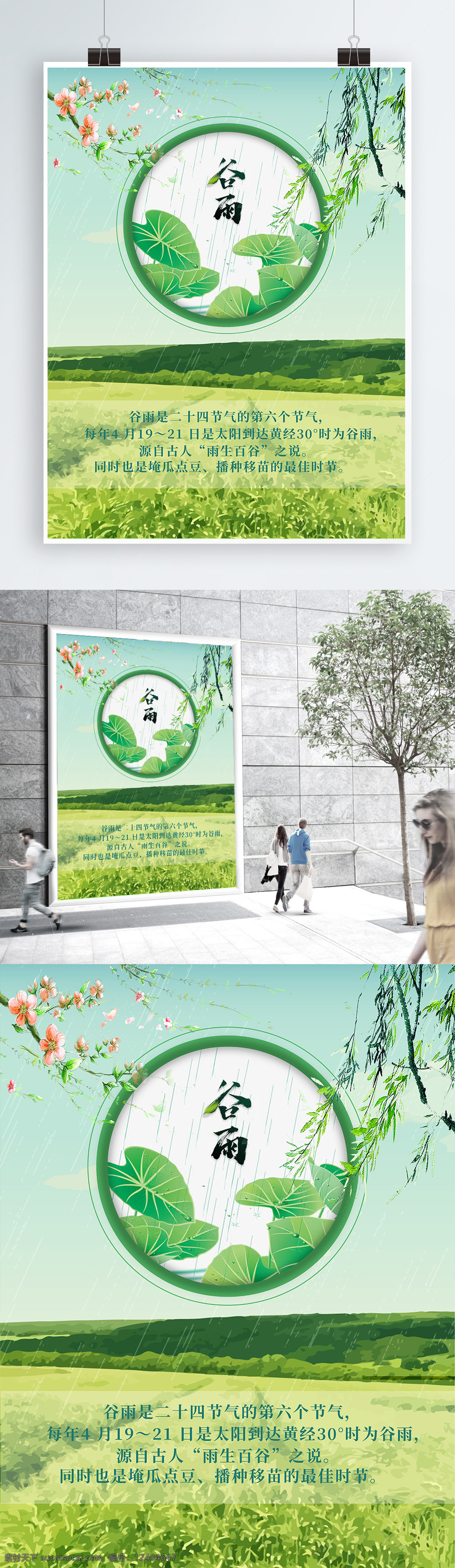 2018 传统 节气 谷雨 荷叶 海报 印刷 展示 青春绿 柳枝 春天气息 二十四节气