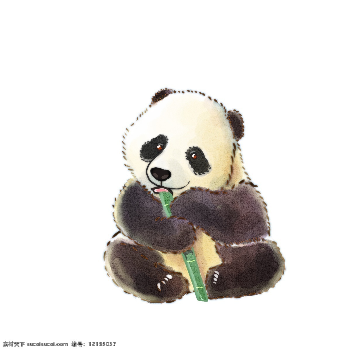 手绘 水彩 绘 卡通 熊猫 动漫动物 动物装饰 卡通动画 扁平动物 动漫 动物 可爱 插画 油彩 绘本 国宝
