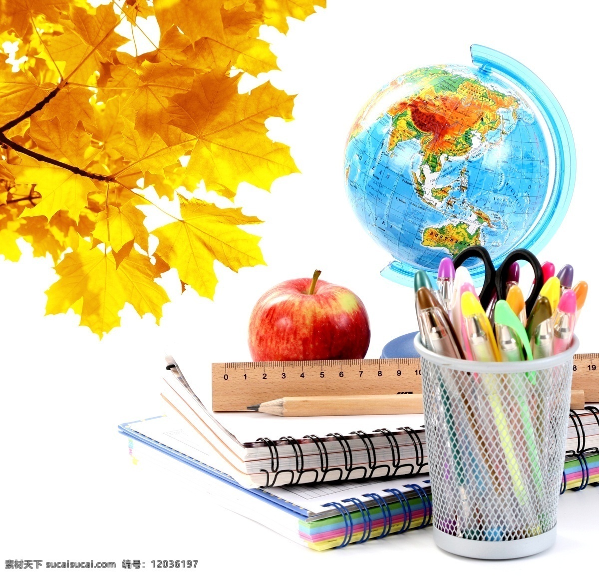 铅笔 地球仪 学习用品 物品 开学 上学 圆珠笔 笔筒 苹果 尺子 笔记本 树叶 枫叶 地球图片 环境家居