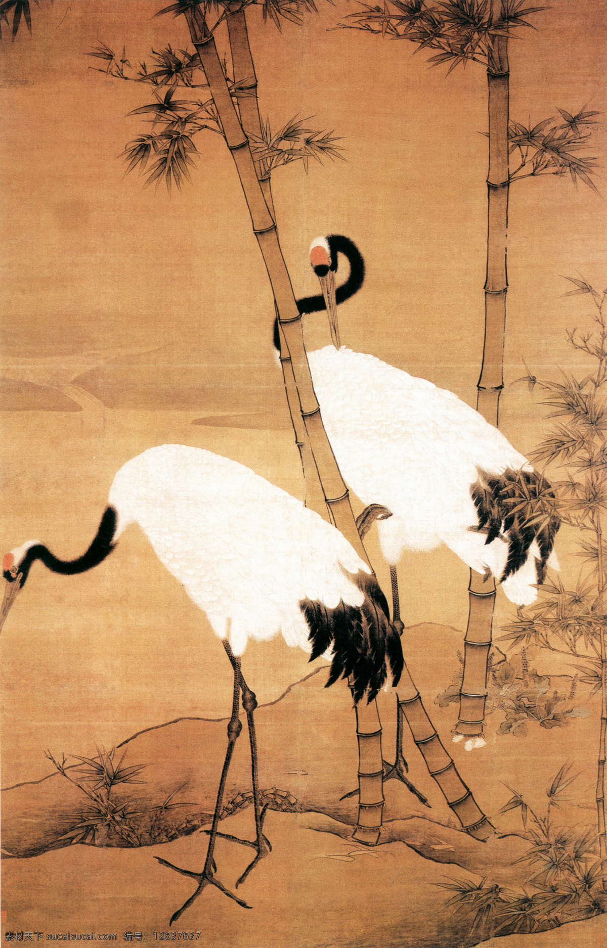 双鹤图 花鸟画 中国 古画 中国古画 设计素材 花鸟名画 古典藏画 书画美术 白色