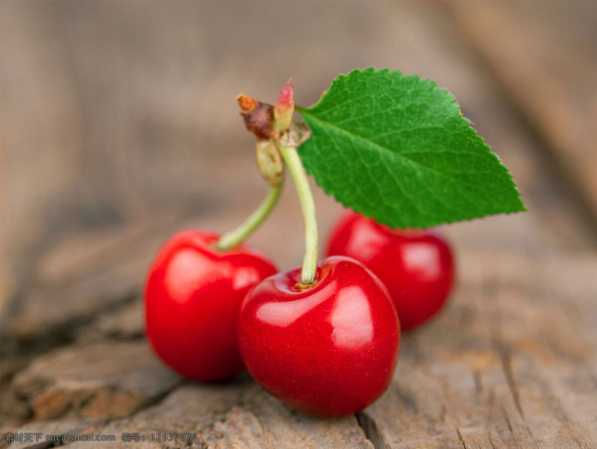 樱桃水果 樱桃 水果 植物 食物 生物世界
