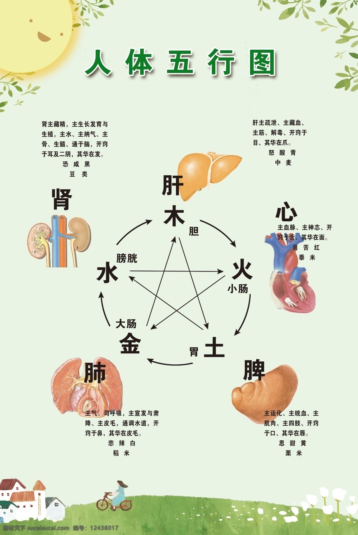 五行图 小儿 推拿 按摩 人体