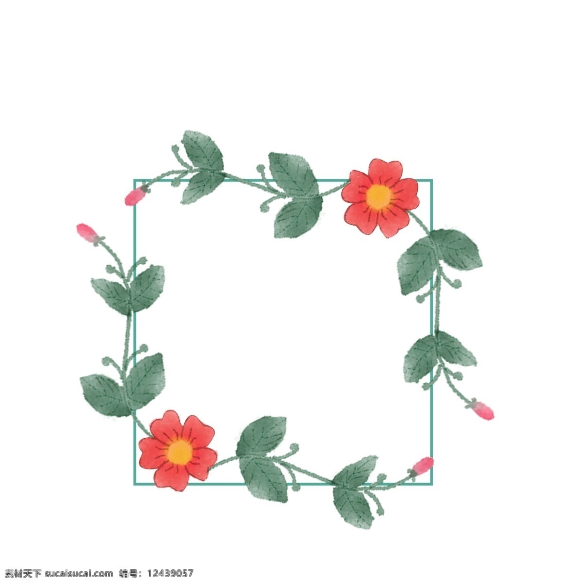 手绘 植物 花朵 纹理 边框 手绘植物 叶子 植物边框