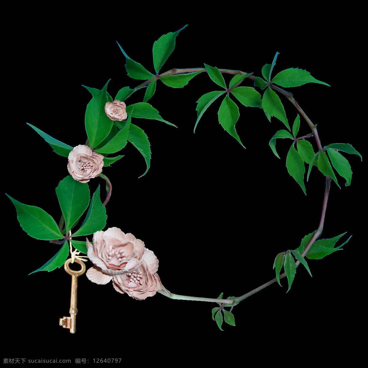 绿叶 藤本 花朵 边框 花藤矢量图 小雏菊花纹 蒲公英花纹 花纹底纹 手绘花卉 唯美花卉 婚礼 花束 爱情 温馨 纯洁 洁白欧式花边 花纹元素 古典花纹