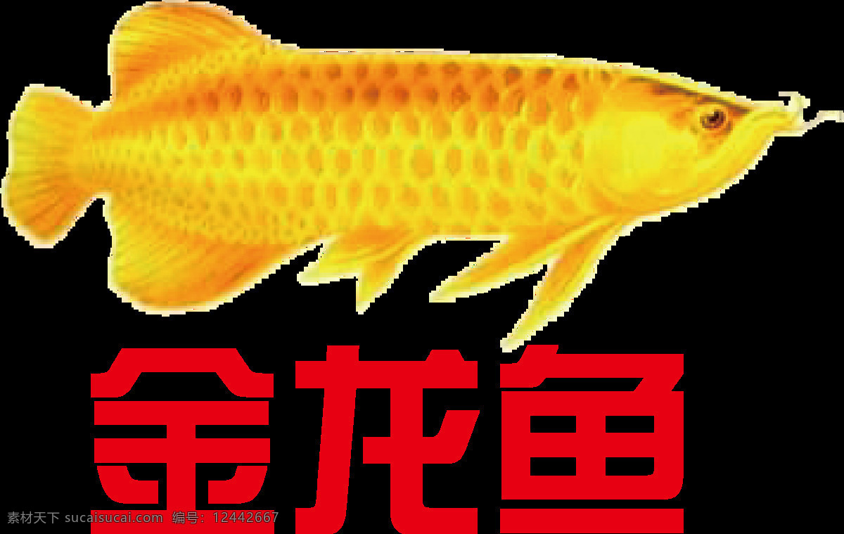 金龙鱼比标志 金龙鱼 logo 金龙鱼标识 金龙鱼商标 企业logo 标志图标 企业 标志