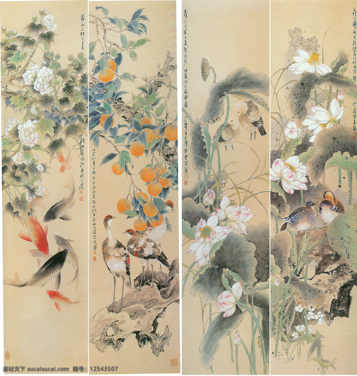 花鸟 装饰画 国画 中国画 绘画艺术 花鸟画 书画文字 文化艺术