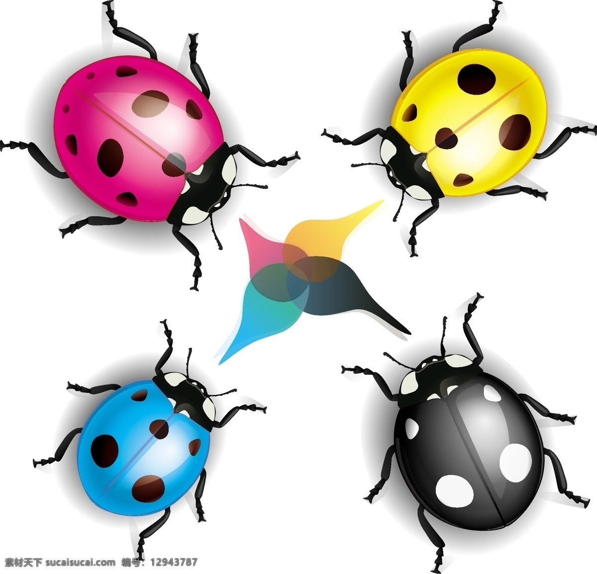 色彩 逼真 瓢虫 矢量 动物 昆虫 颜色 染料 现实 向量 矢量图 矢量人物