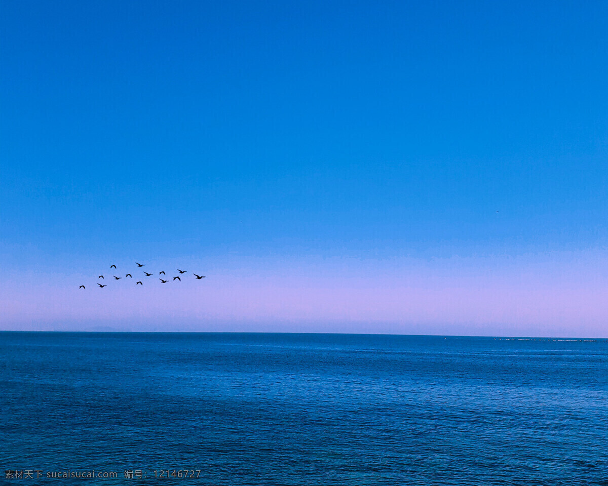 大海 海鸥 蓝天 碧水蓝天 海水 自然景观 自然风景