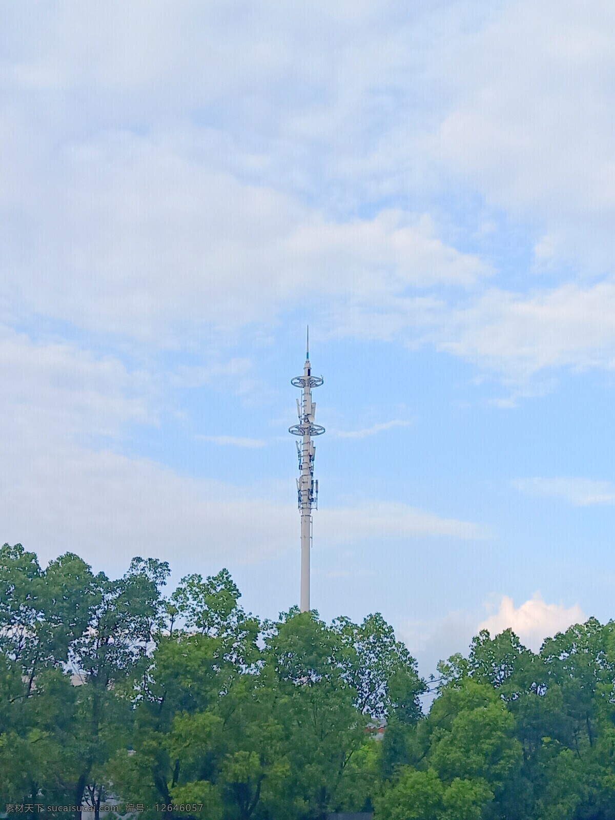 蓝天 白云 风景 图 树木 绿树 秋天 蓝天白云 植物花草 夏季 自然景观 自然风景