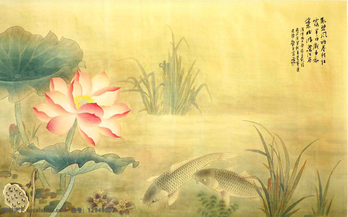 国画荷花 国画 荷花 鱼 黄色