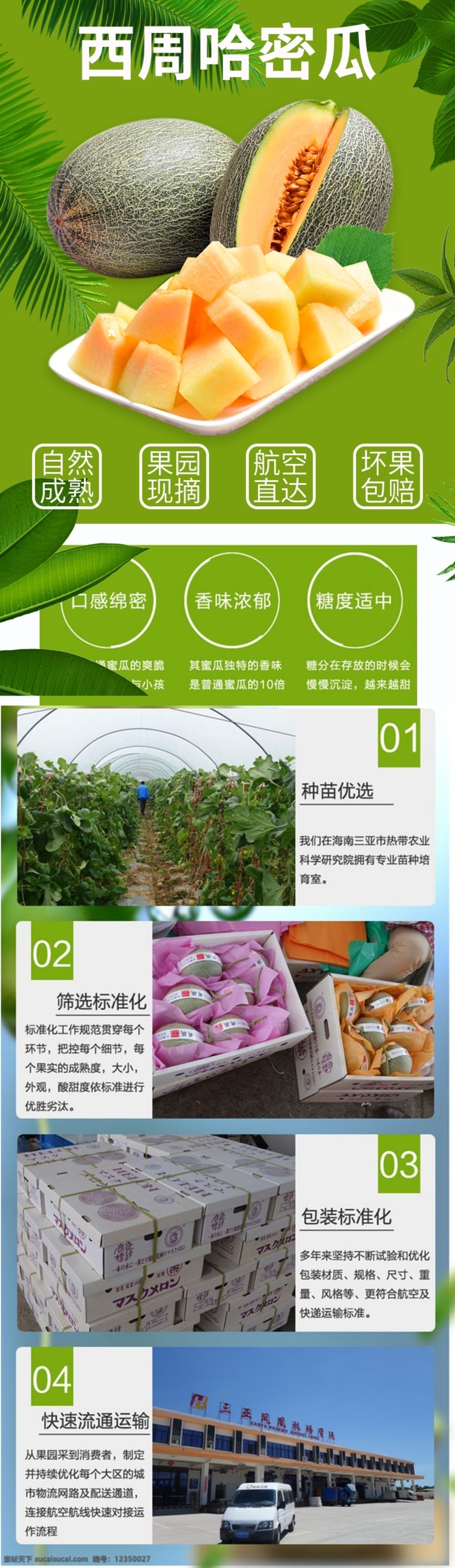 电商 淘宝 哈密瓜 食品 生鲜 详情 页 电商淘宝 详情页