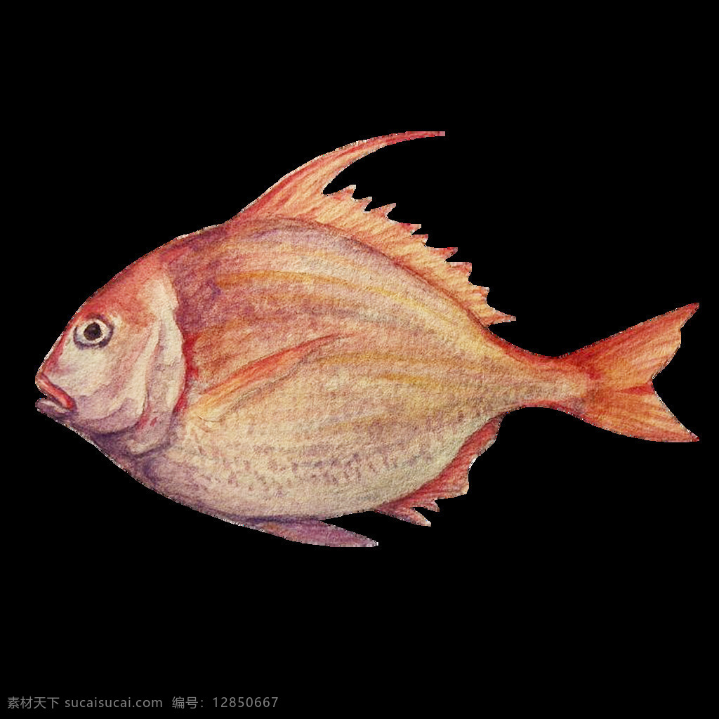 水彩 绘画 海鱼 海产 图案 鱼 海鲜 海洋生物 水产 鱼类 食物 手绘 颜料 小清新 包装图案 卡通 生物世界