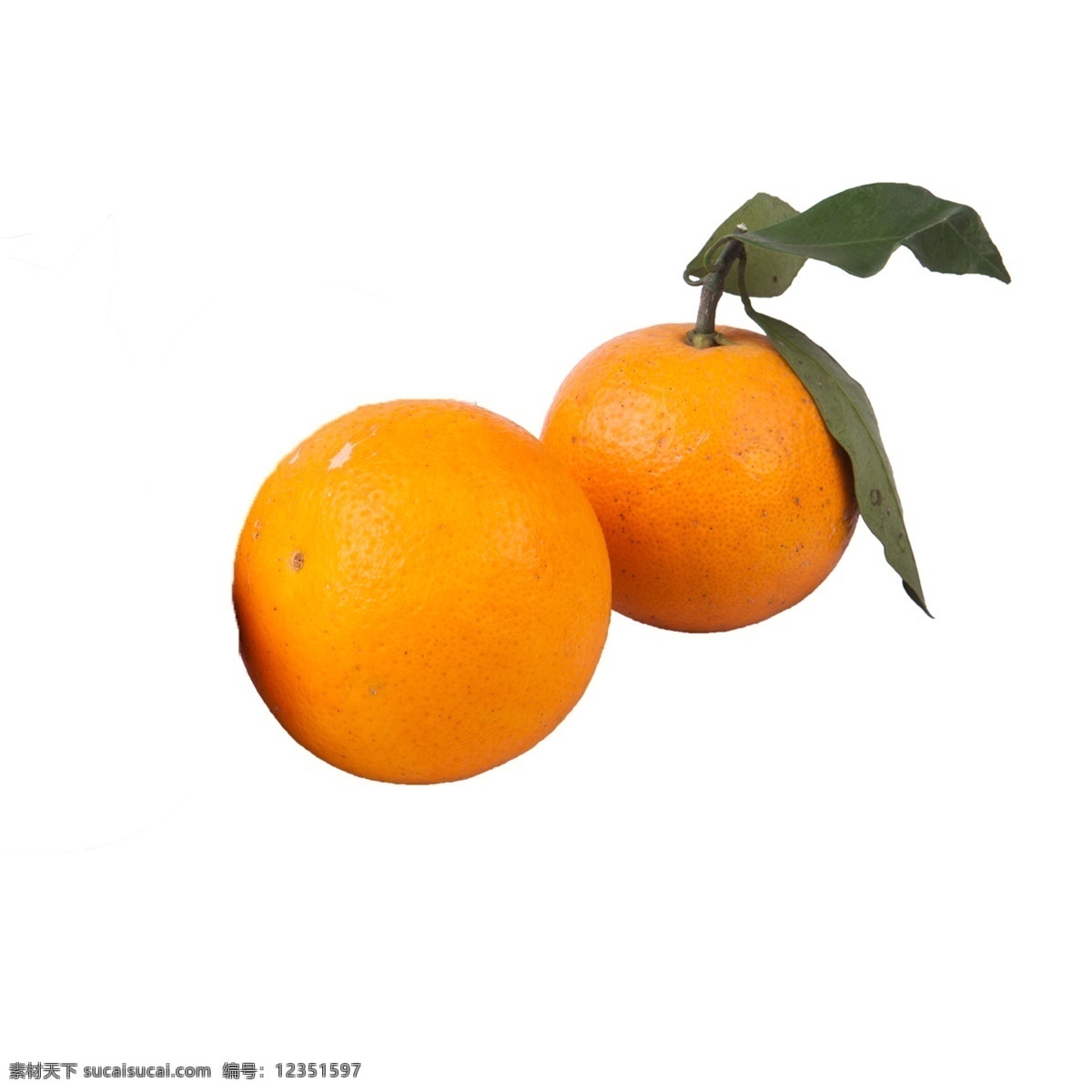 两个 橙子 免 抠 水果 好吃的橙子 两个橙子 两个橙子免抠 新鲜的橙子 有营养的橙子 甜橙
