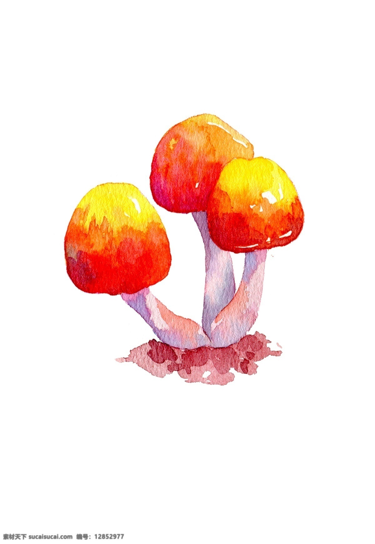 蘑菇 插画 食用 秋天 秋季 菇类 手绘蘑菇 水彩蘑菇 秋日蘑菇 蘑菇插画 食用蘑菇 菌类