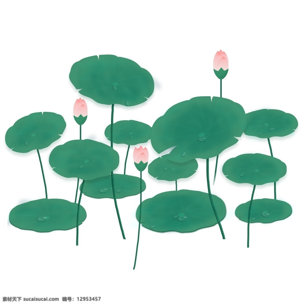 立夏 荷花 植物 透明 卡通素材 可爱 鲜花 png免抠图 透明素材