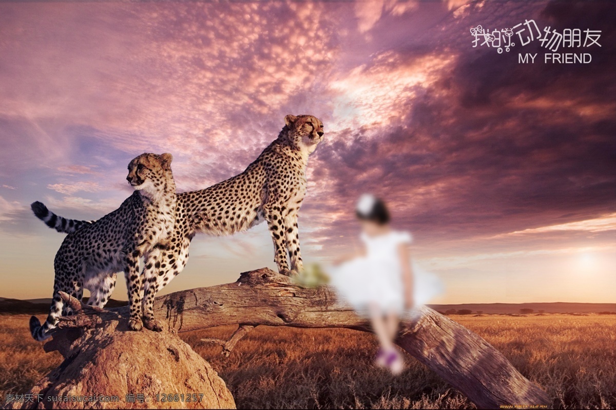 儿童 写真 3d 模板 3d动物模板 摄影模板 儿童摄影模板