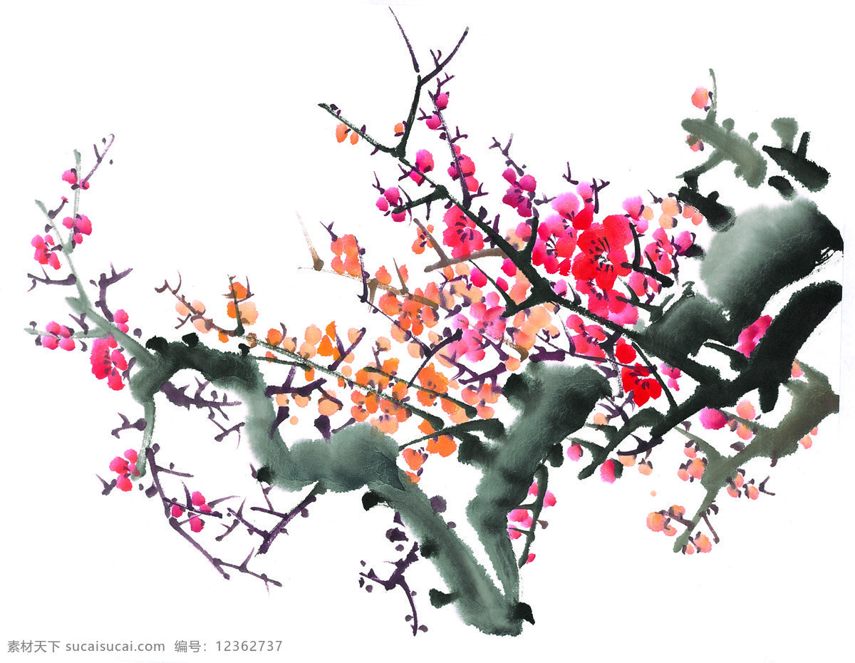 藝術花 花朵 背景 中國風 水彩 藝術 梅花 花蕾 含苞待放 粉红 花草 绘画书法 文化艺术