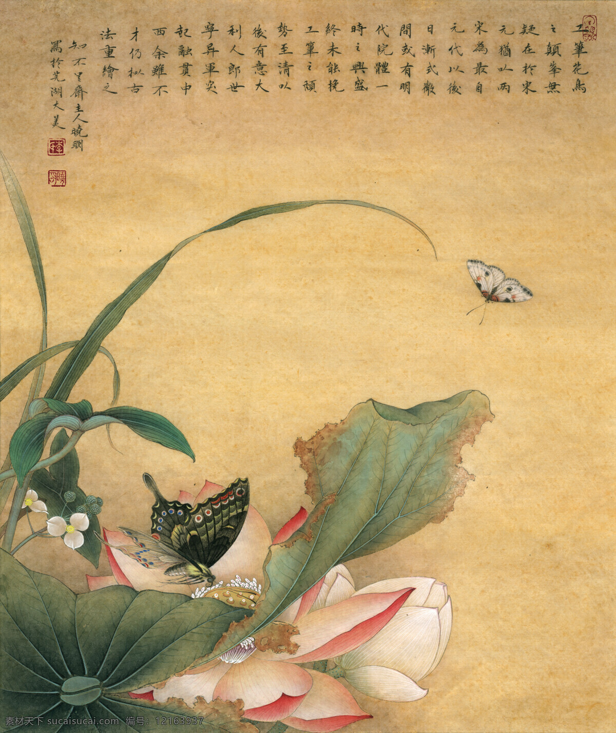 古风 类 花鸟 工笔画 荷花 双 蝶 改编郎世宁 荷花双蝶 古风类 绘画艺术 传世名画 工笔 绘画 书法 文化艺术 绘画书法