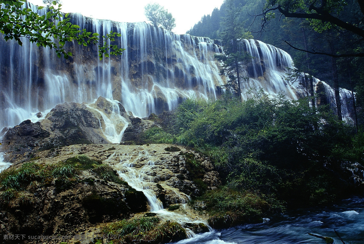 九寨沟 诺 日 朗 瀑布 诺日朗 旅游摄影 自然风景 摄影图库 自然景观 风景名胜