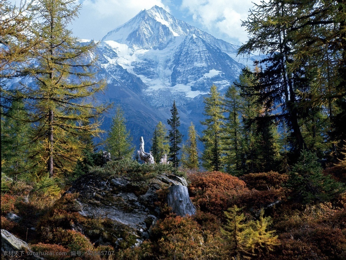 阿尔卑斯山脉 自然风景 雪山风景 青山 树林 森林 原始森林 山水风景 自然景观
