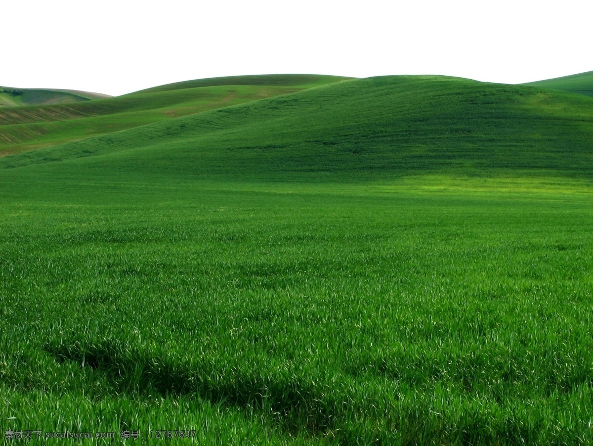 清新 绿色草原 风景图片 山脉 山峰 山 绿色 绿草