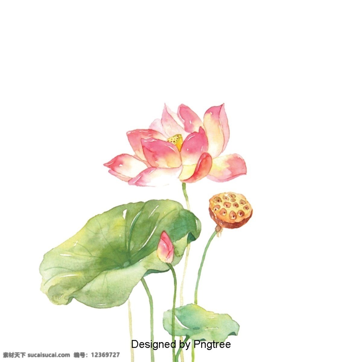 简单 卡通 花卉 装饰 图案 手绘 极 简 色彩 图形设计 材料 唯美 主义 自然