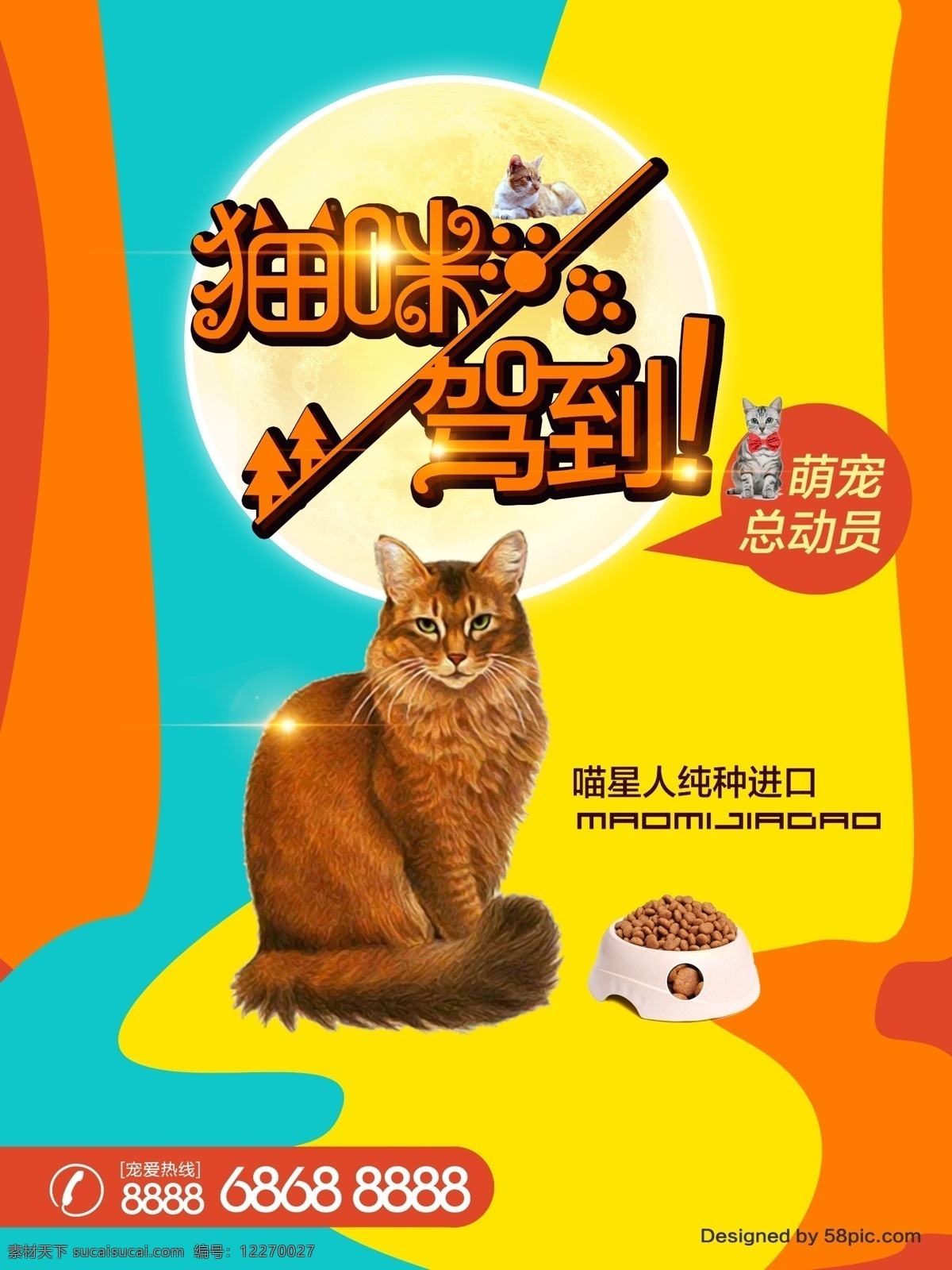 萌 宠 宠物 店 猫咪 海报 模板 萌宠 猫 猫星人 单页 宠物海报