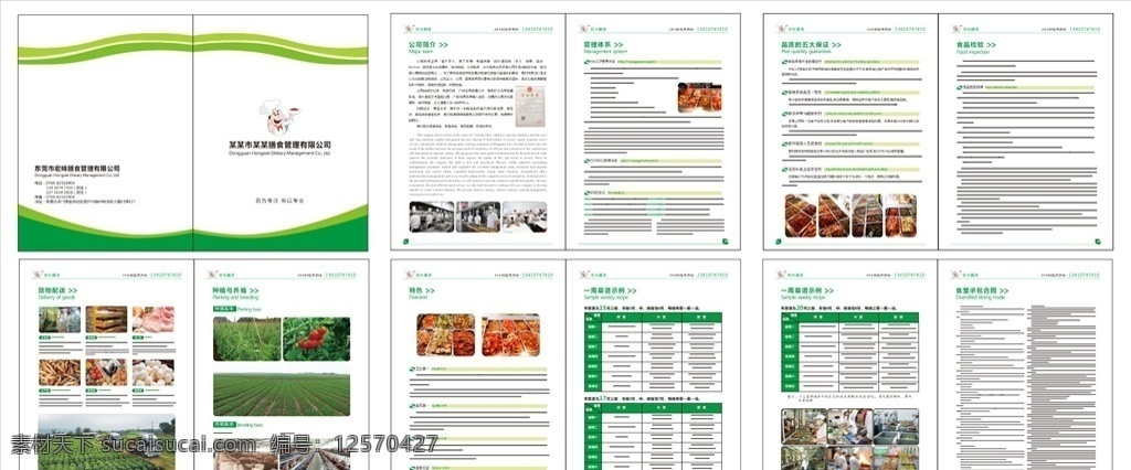 膳食画册图片 膳食 团膳 饮食 餐饮 高档画册设计 宣传画册 画册设计