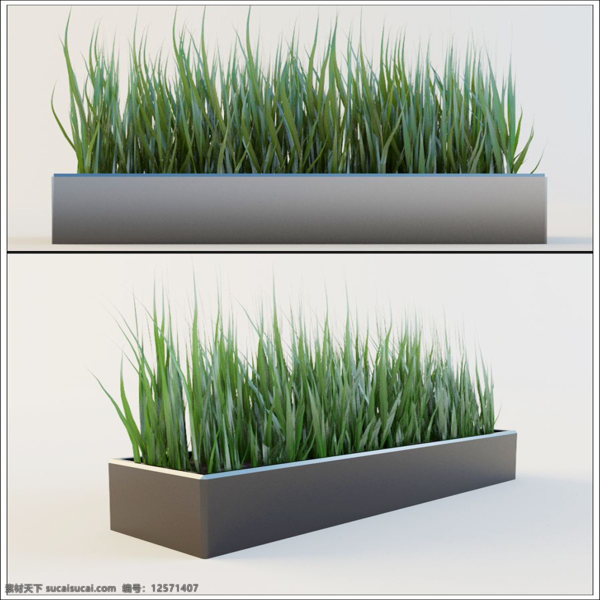 精美 绿色植物 3d 模型 绿色 植物 盆景 3d模型 3d渲染 模型素材