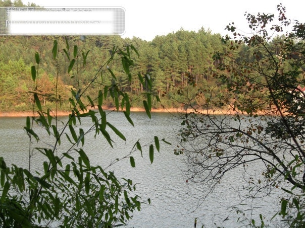 湖水免费下载 杭州 湖水 旅游摄影 山 摄影图 树 余杭 娘娘山 甘林水库 杭州旅游 风景图片 风景 生活 旅游餐饮