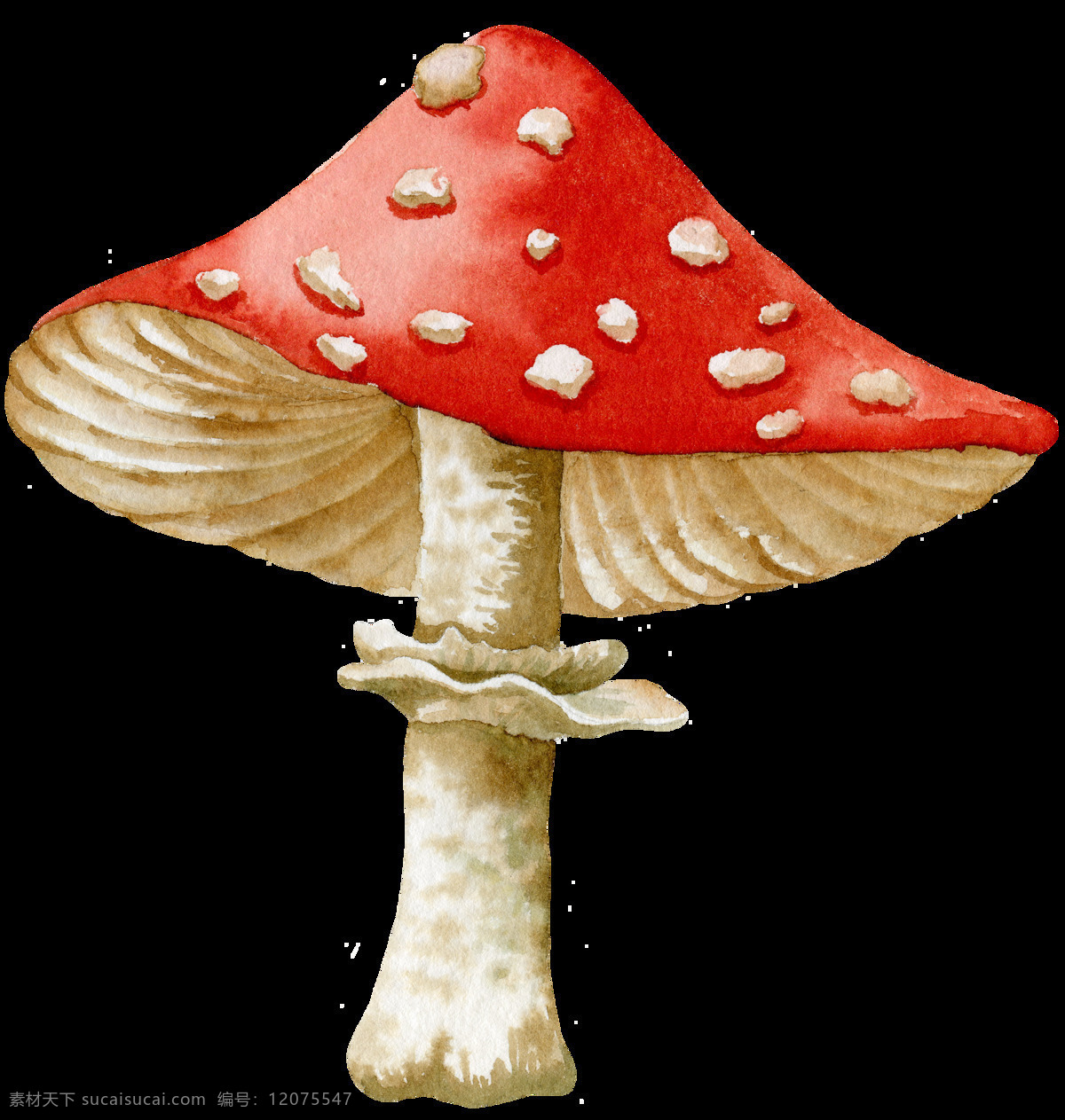 组 卡通 蘑菇 设计素材 植物 可爱 红色 黄色 野生菌 童话 伞状