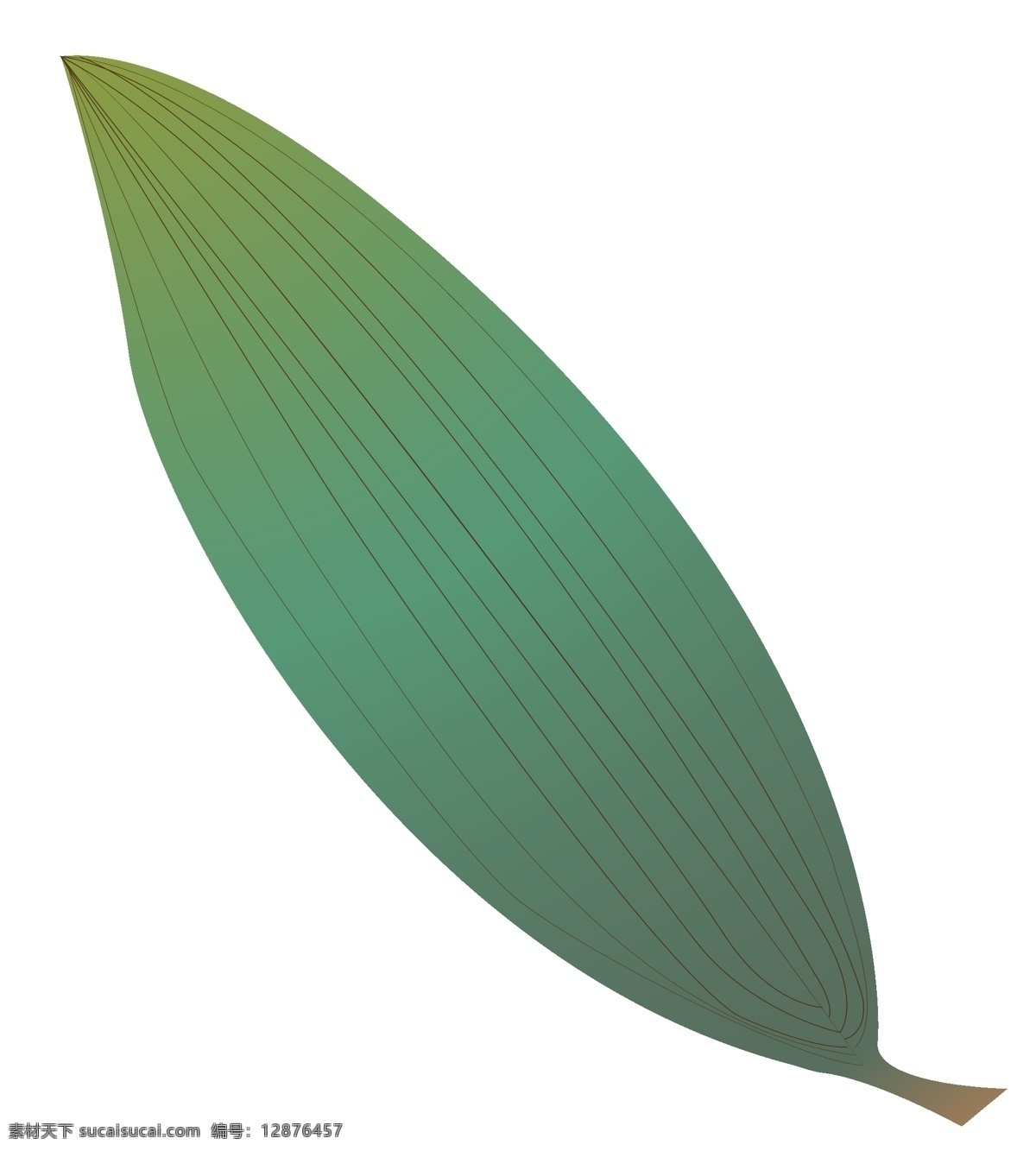 细长 绿色 叶子 插画 竹子的叶子 卡通插画 叶子插画 树叶插画 绿叶插画 植物叶子 细长的叶子