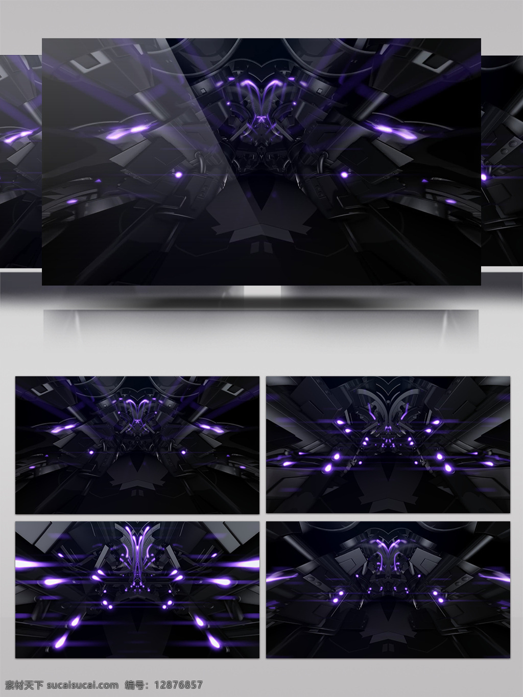 紫色 花纹 科幻 视频 鹰 花朵 视频素材 动态视频素材