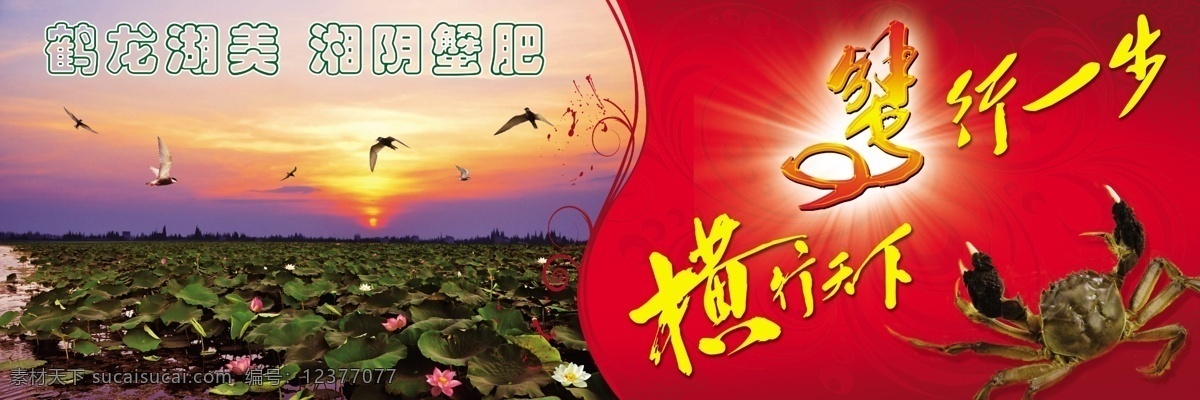 鹤龙湖广告位 鹤龙湖 荷花 夕阳 晚霞 海鸥 鸟 艺术字 发光字 螃蟹 祥云 展板 模板 花纹 国内广告设计 广告设计模板 源文件