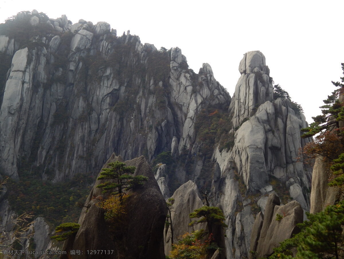 黄山风光 黄山旅游 黄山美景 旅游 云海 松树 高山 风景名胜 自然景观 安徽黄山 黄山秋色 黄山 安徽旅游景点 黄山景色 黄山山峰 山峰