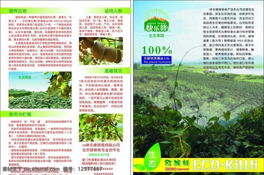 猕猴桃宣传单 卡片 快乐峰 纯天然 猕猴桃果园 猕猴桃 彩页 展板模板