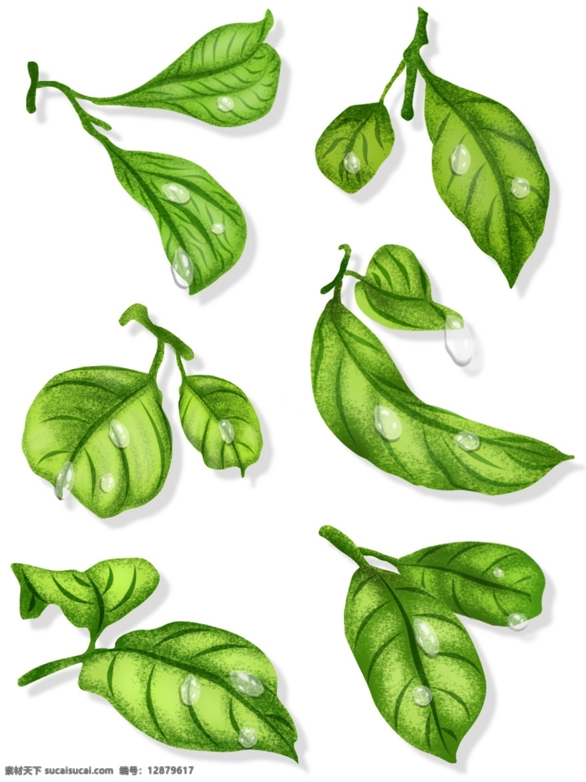 小清 新手 绘 滴水 植物 叶子 元素 绿色叶子 小清新 装饰图案 手绘 花纹 amp 背景 免 抠 图 底纹边框 其他素材