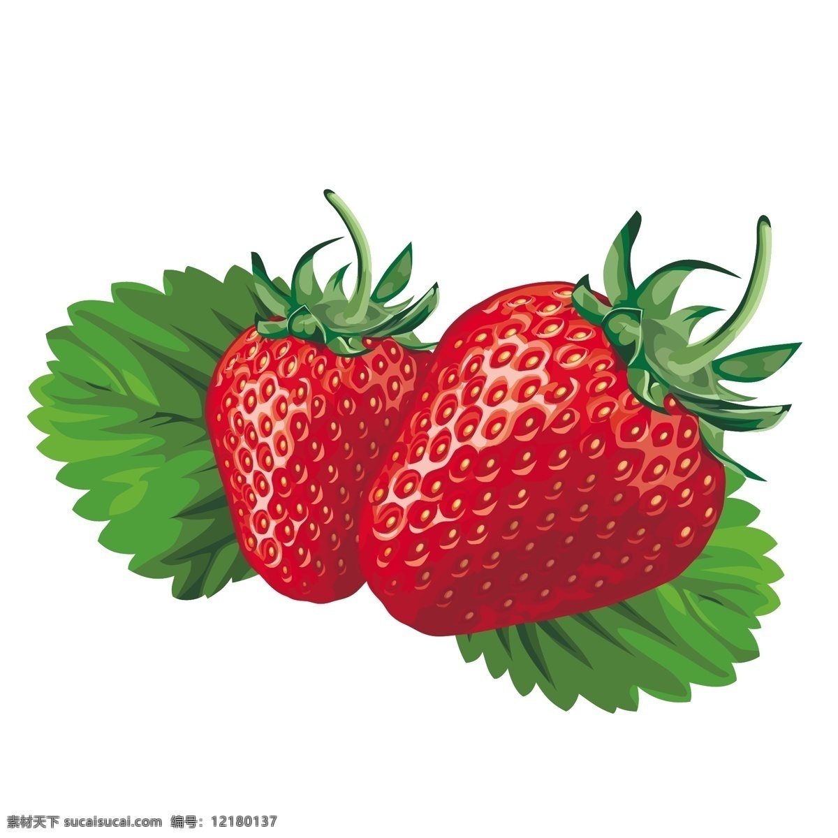 草莓矢量 矢量草莓 矢量水果 果实 叶子 水果 生物世界