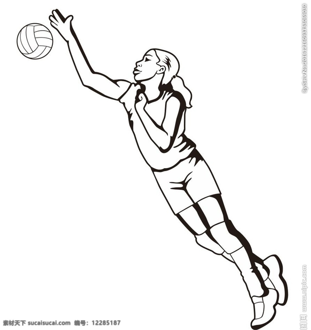 女排 排球 排球比赛 体育比赛 体育绘画 油画 色块 体育彩绘 插画 装饰画 简笔画 线条 线描 简画 黑白画 卡通 手绘 简单手绘画 矢量图 运动矢量图 文化艺术 体育运动