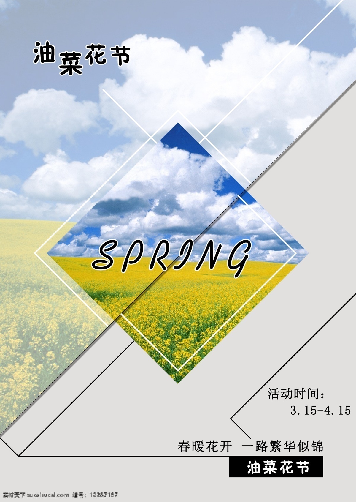 春季 油菜花 节 宣传海报 宣传 春暖花开