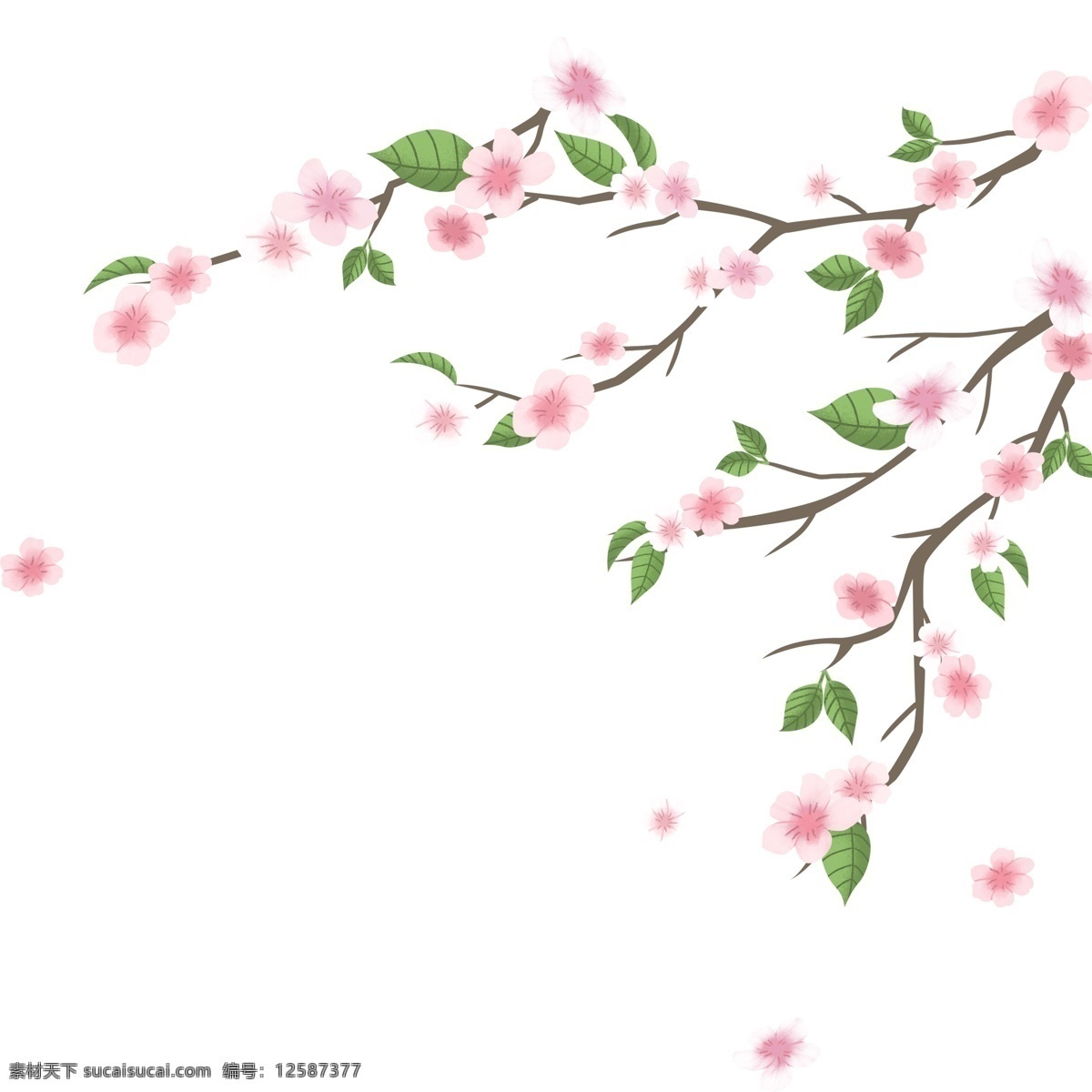 粉色 唯美 樱花树 装饰设计 手绘 植物 花卉 樱花 春季